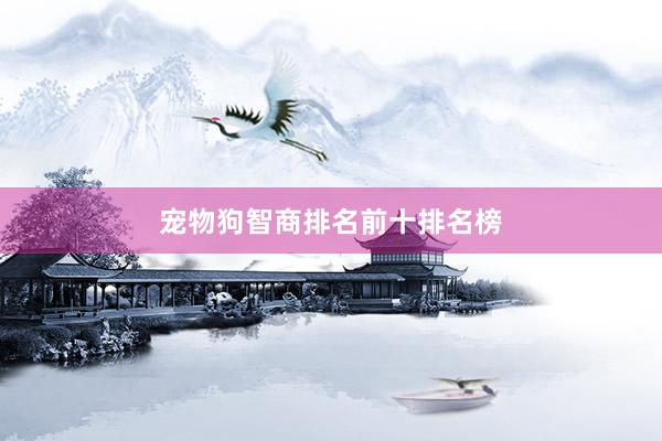 宠物狗智商排名前十排名榜