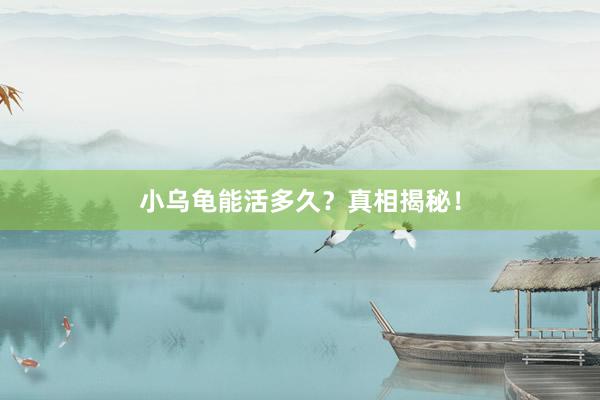 小乌龟能活多久？真相揭秘！